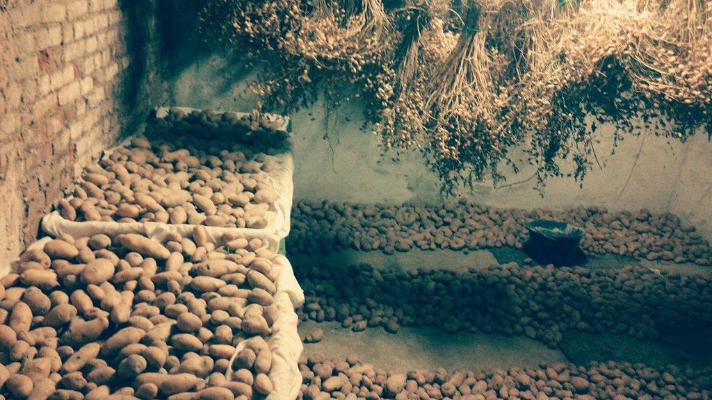 Гостьовий будинок Cascina Il Convivio Діано-д'Альба Екстер'єр фото